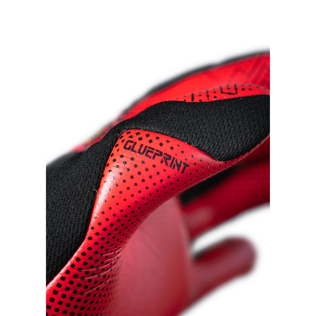 Reusch Attrakt Gold X GluePrint Goalkeeping Gloves
