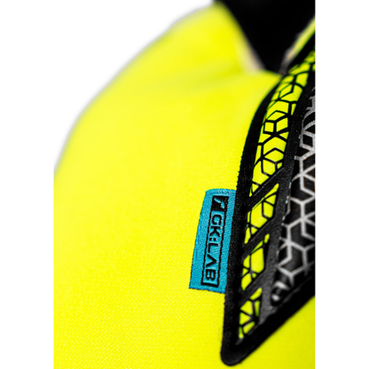 Reusch Attrakt Gold Evolution Goalkeeping Gloves
